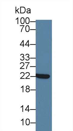 10192