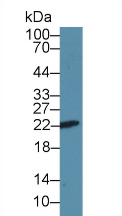 14102