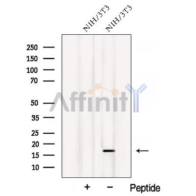 Валидация Affinity DF12845 - 7571