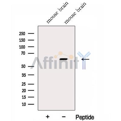 Валидация Affinity DF13024 - 7835