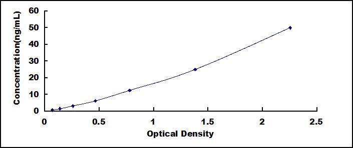 51557