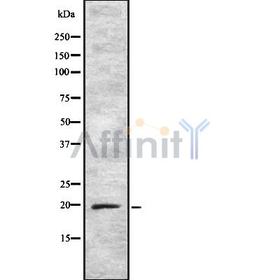 Валидация Affinity DF8451 - 20331