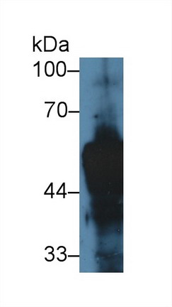 10134