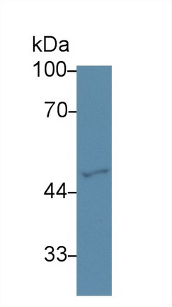 9869