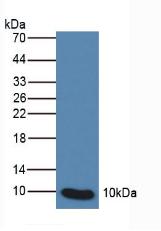 1345