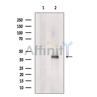 Валидация Affinity DF5156 - 17121