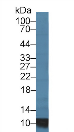 14522