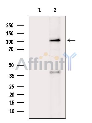 Валидация Affinity DF15756 - 12232