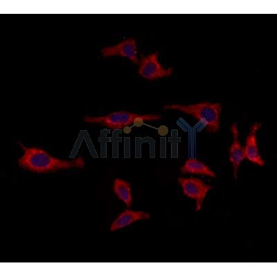 Валидация Affinity DF12171 - 6380