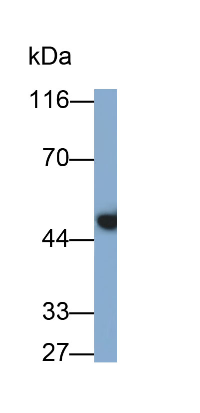 8327