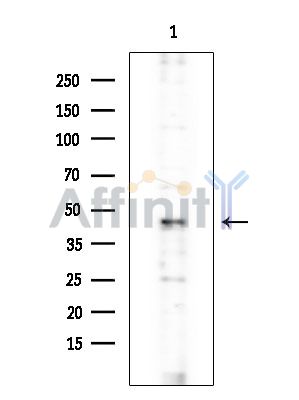 Валидация Affinity DF2574 - 13250