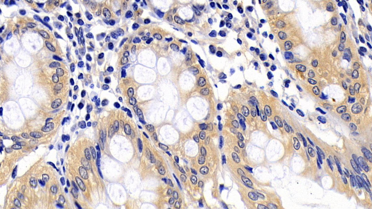 22128