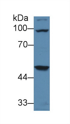 14840