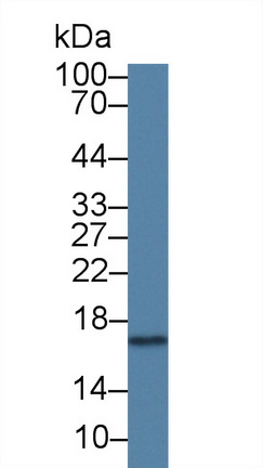 1676