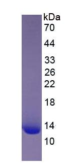 57374