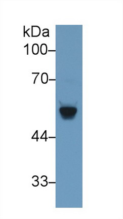 9432