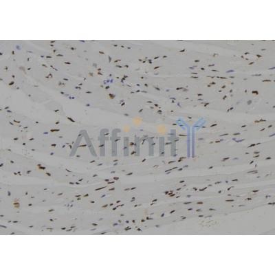 Валидация Affinity DF10046 - 5507