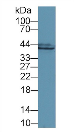 13417