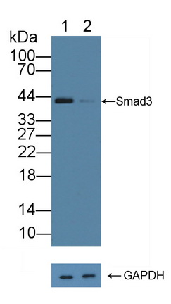 12190
