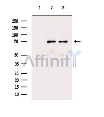Валидация Affinity DF3921 - 15105