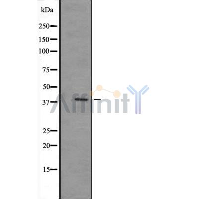 Валидация Affinity DF2359 - 12928