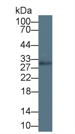 8436