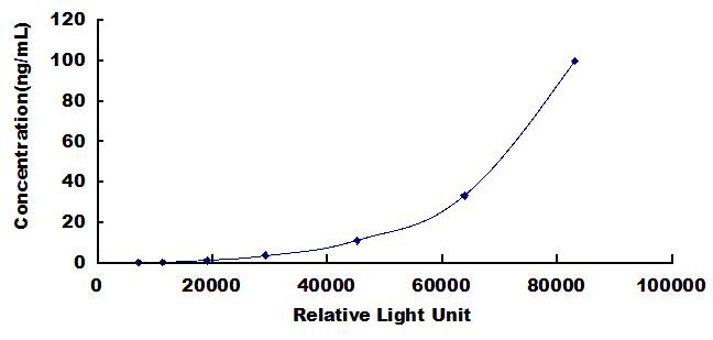 46271