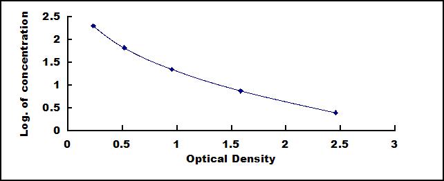 61031