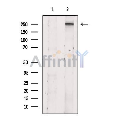 Валидация Affinity DF10018 - 5460