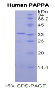 48183