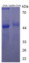 60607