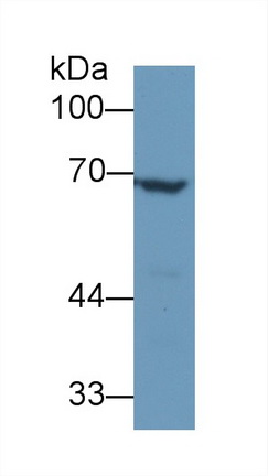 13405