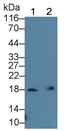 12319