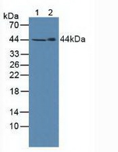 4971