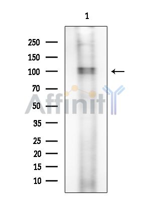 Валидация Affinity DF9364 - 21882