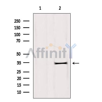 Валидация Affinity DF9434 - 22000
