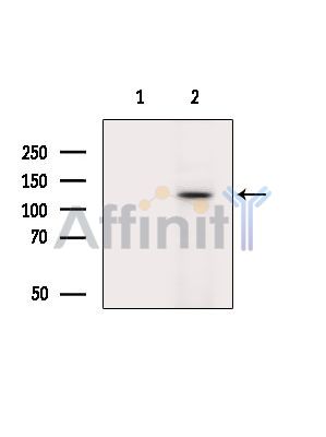 Валидация Affinity DF13933 - 9678