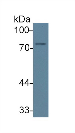 13690