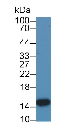 8474