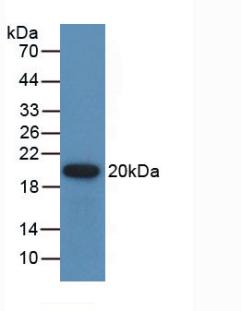 40915