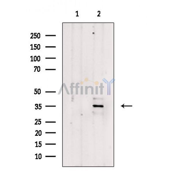 Валидация Affinity AF9067 - 4822