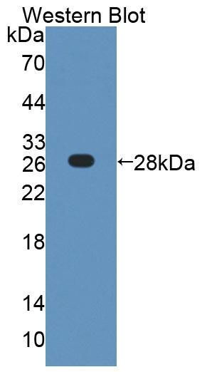59001