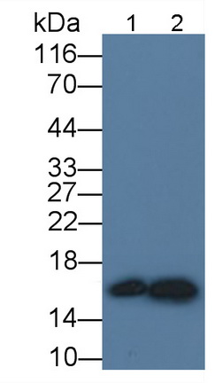 10749