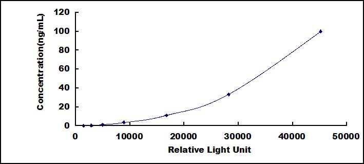 46106