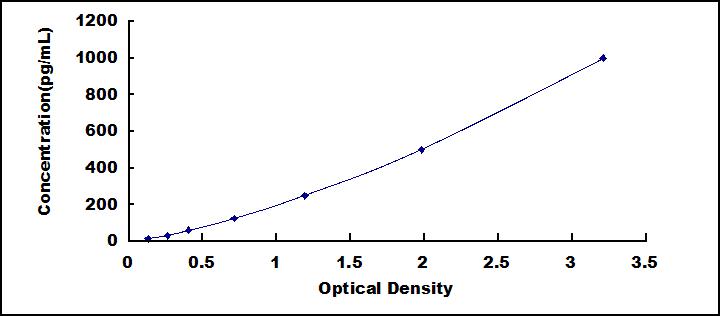 62231