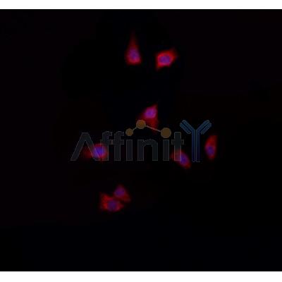 Валидация Affinity DF4204 - 15564
