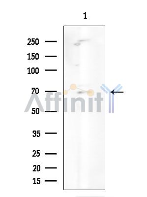Валидация Affinity DF4516 - 16083