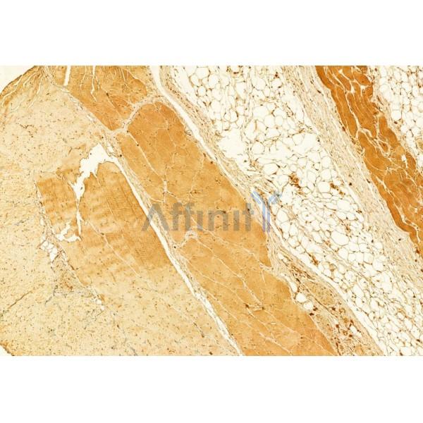 Валидация Affinity AF5449 - 3098