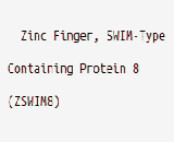 Zinc Finger, SWIM-Type Containing Protein 8 (ZSWIM8)