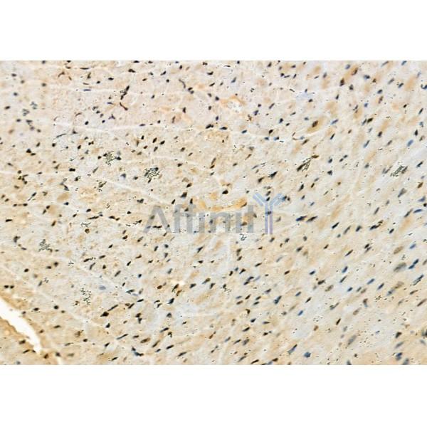 Валидация Affinity DF2467 - 13103
